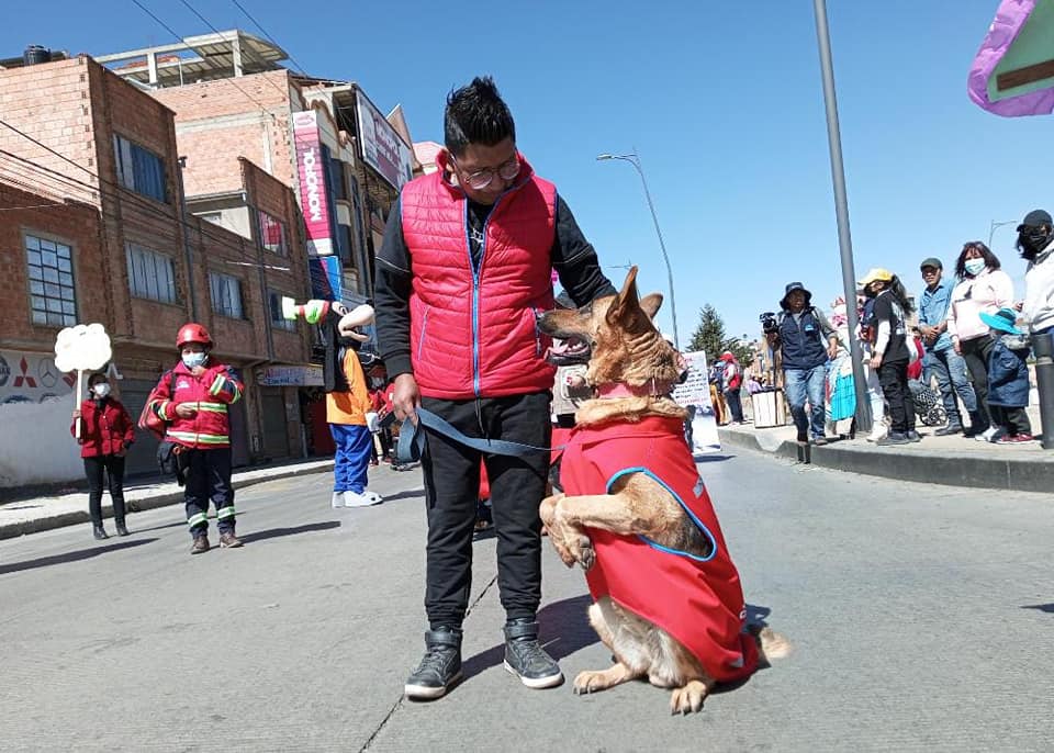 Estudio prueba que los perros lloran al reencontrarse con sus dueños