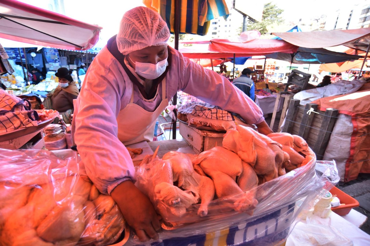 Gobierno Garantiza Abastecimiento De Carne De Pollo Y Res