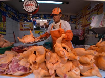 Gobierno Apunta A La Exportaci N De Carne De Pollo Con La Industria Av Cola