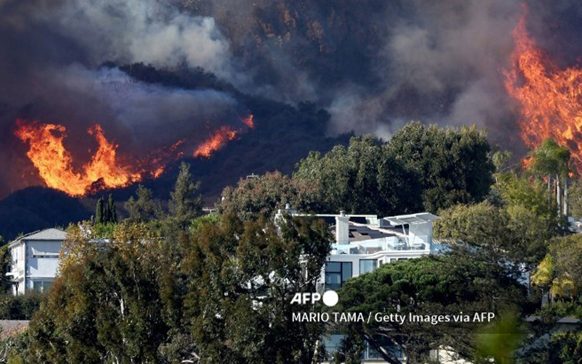 Incendio Forestal Desata P Nico Y Evacuaciones En Los Ngeles La Raz N