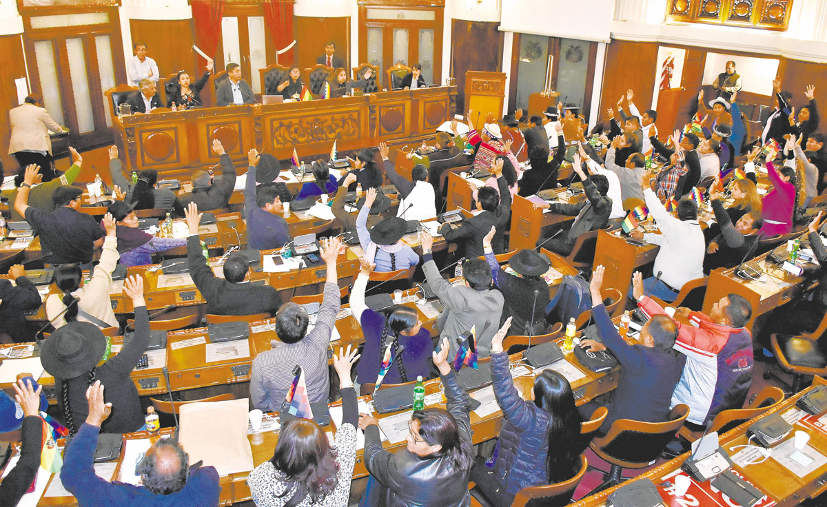 El Gobierno Y El MAS En La Asamblea Se Lanzan Dardos Con La Aprobación ...