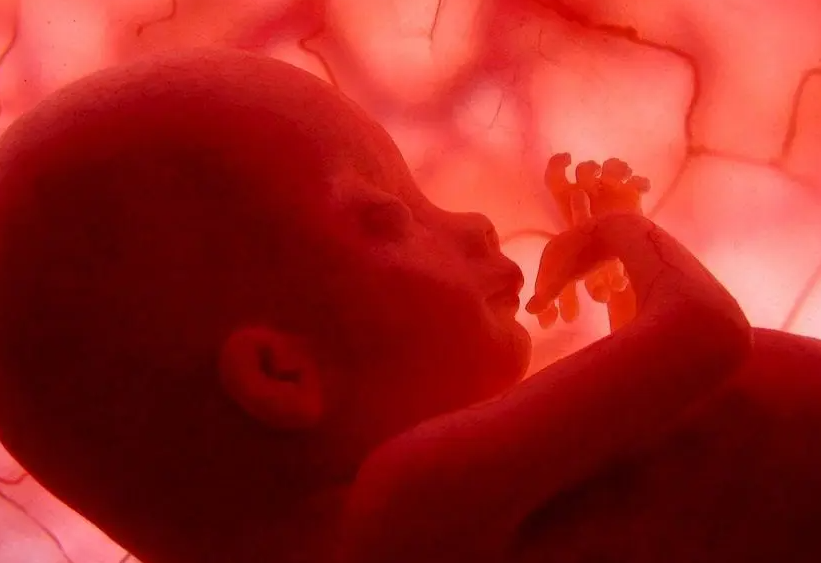 En el vientre materno, los bebés reaccionan diferente a los sabores, según  un estudio - La Razón