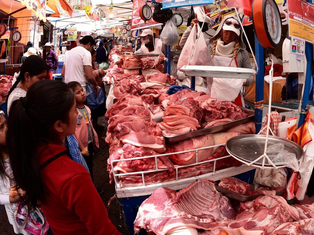 El sello del matadero autorizado es clave para identificar la carne de  cerdo certificada - La Razón