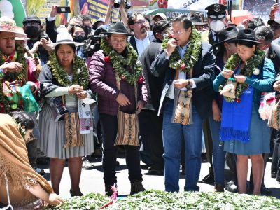 El Acullico De La Hoja De Coca, Símbolo De Fuerza Y Lucha De Los Bolivianos