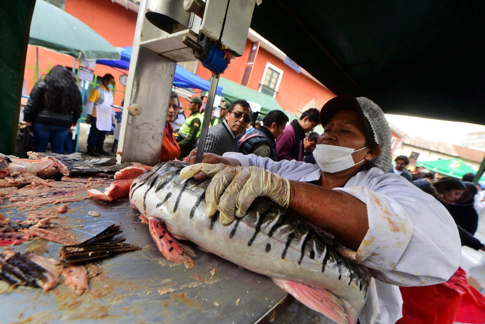 Ferias Del Campo A La Olla Ofertan Variedad De Pescado Para La Semana Santa La Razón 4761