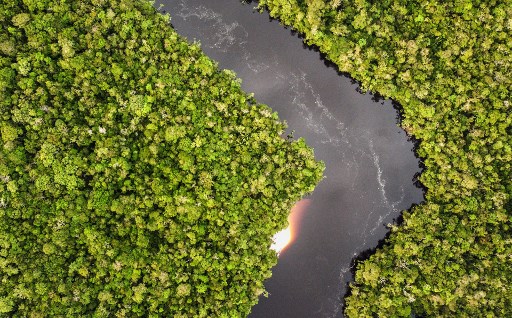 Colombia Acogerá La COP16 De La ONU Sobre Biodiversidad En 2024 - La Razón