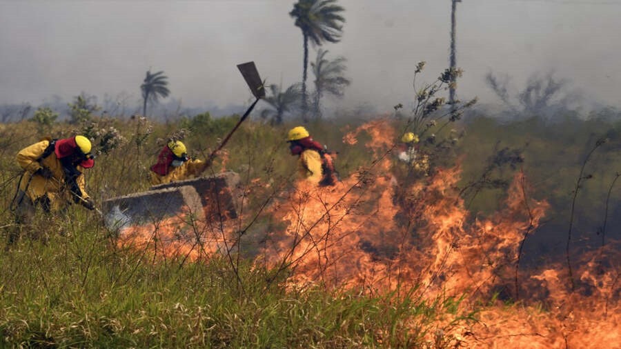 Gobierno no declara desastre nacional por incendios por presupuesto